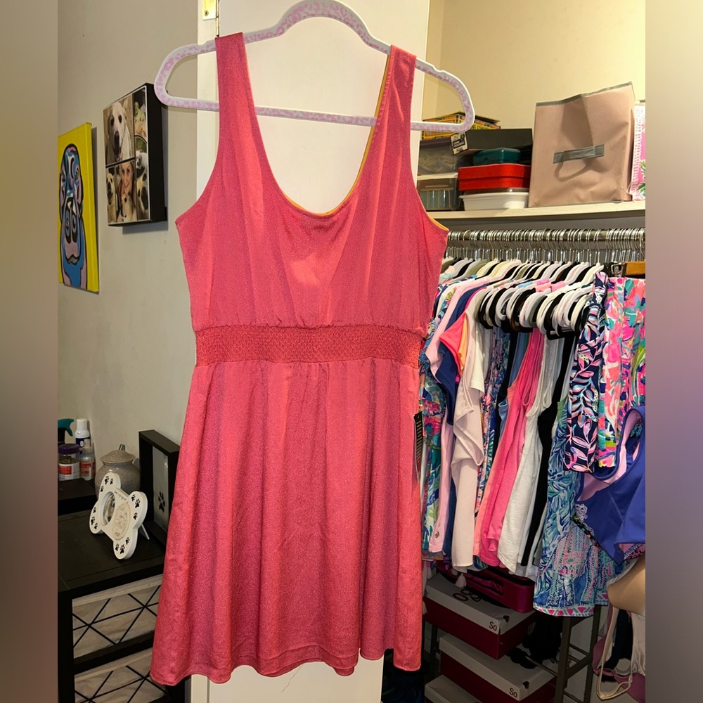 🌺♦️NWT The Limited Beautiful Dress🌺